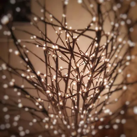 Il Vecchio Frantoio * Леричи