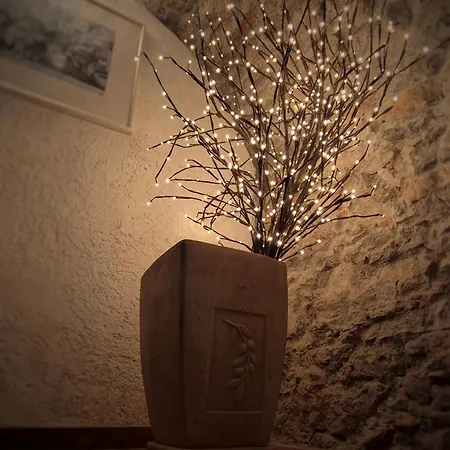 Il Vecchio Frantoio דירה *