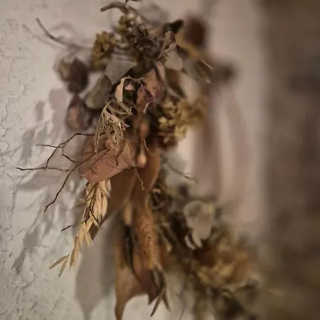 דירה Il Vecchio Frantoio