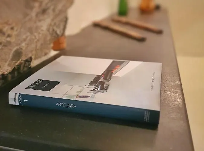 公寓 Il Vecchio Frantoio 莱里奇